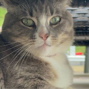 Meet your Posher, Gloria